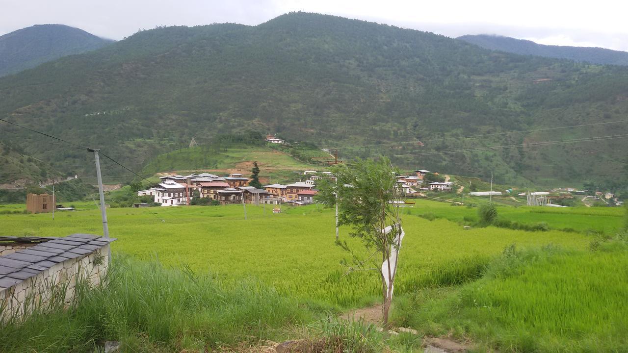 Chimi Lhakhang Village Homestay Punakha Extérieur photo