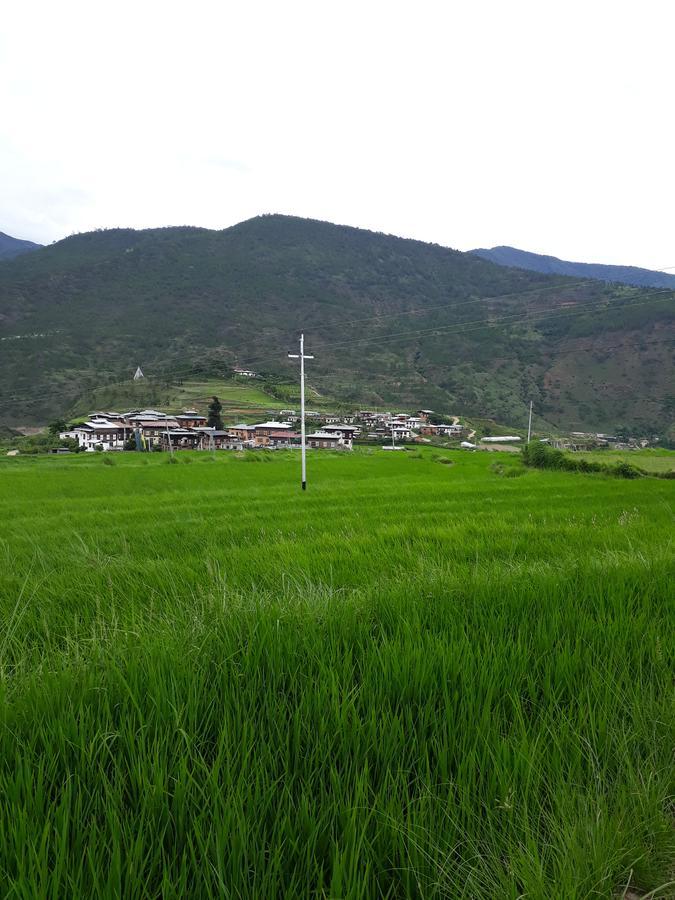 Chimi Lhakhang Village Homestay Punakha Extérieur photo